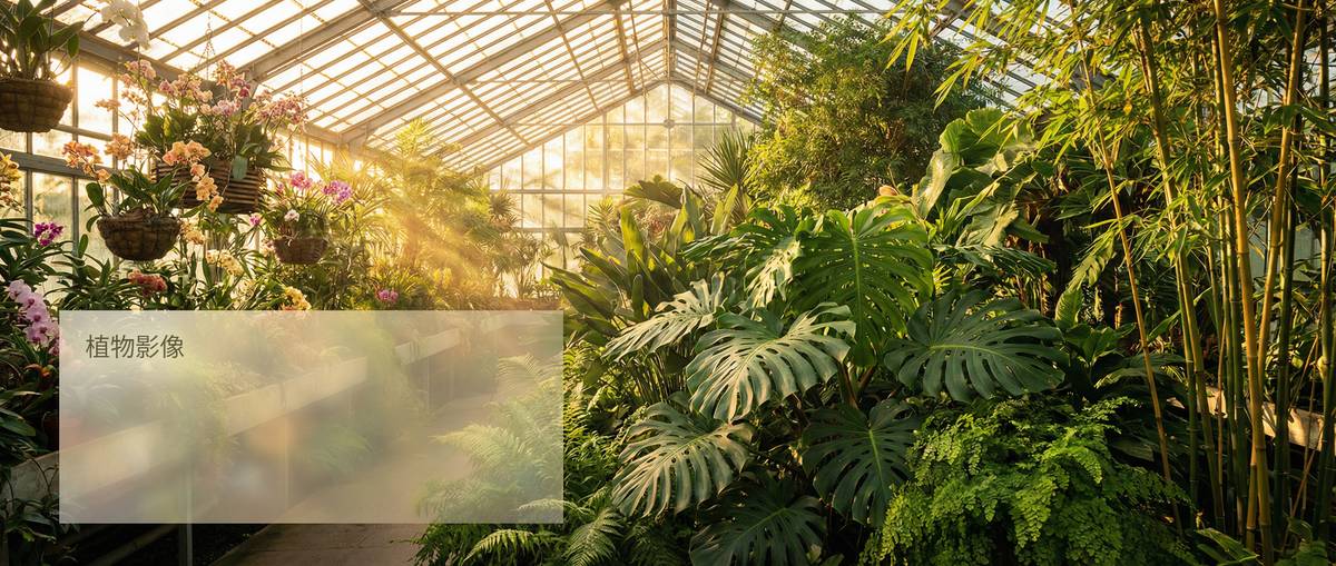 91植物视频社区Banner - 国内知名植物视频平台pLxuyp.cn